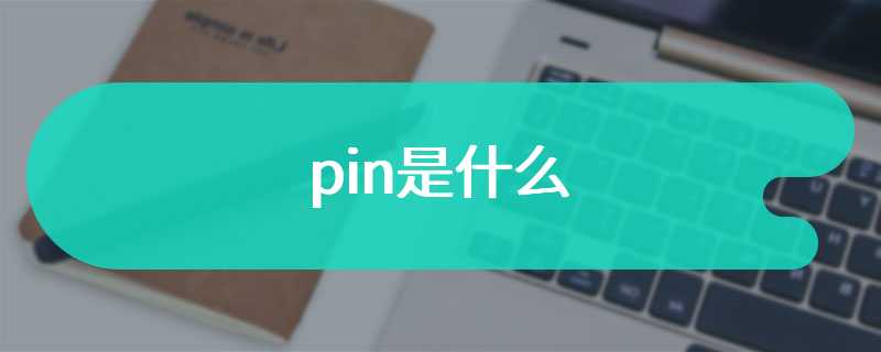 pin是什么