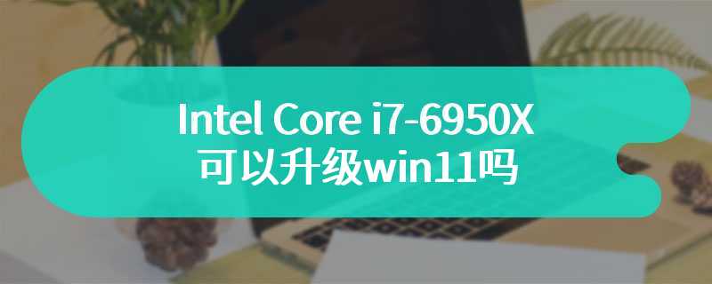 Intel Core i7-6950X可以升级win11吗