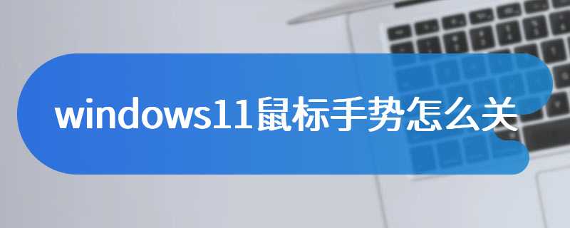 windows11鼠标手势怎么关