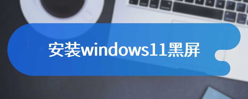 安装windows11黑屏