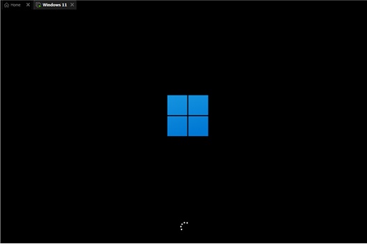 windows11无法安装中文语言包(1)