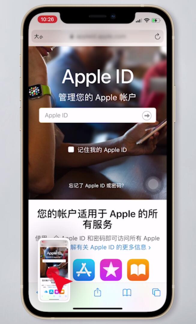 iphone手机如何截长图(4)