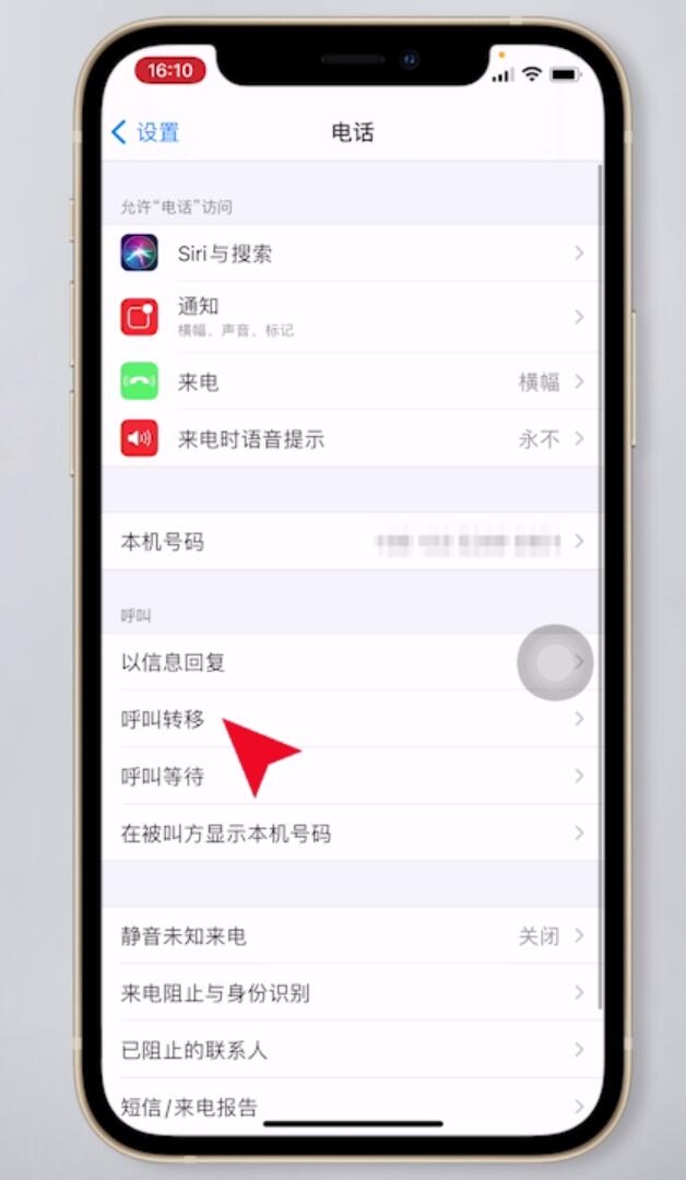 苹果手机呼叫转移怎么设置(2)
