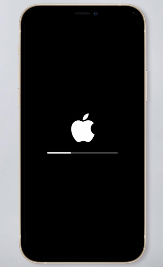 苹果手机一直显示无服务(5)