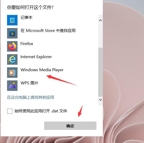 windows11 dat文件用什么软件打开(4)