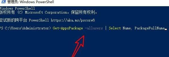 windows11应用商店点了没反应解决方法(1)