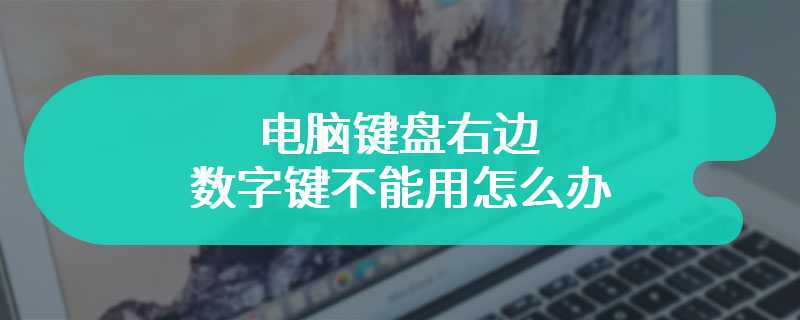 电脑键盘右边数字键不能用怎么办