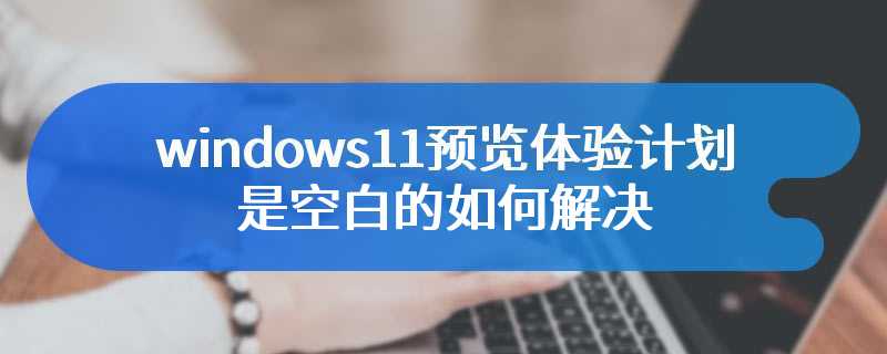 windows11预览体验计划是空白的如何解决