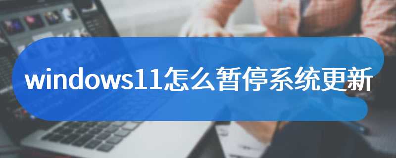 windows11怎么暂停系统更新