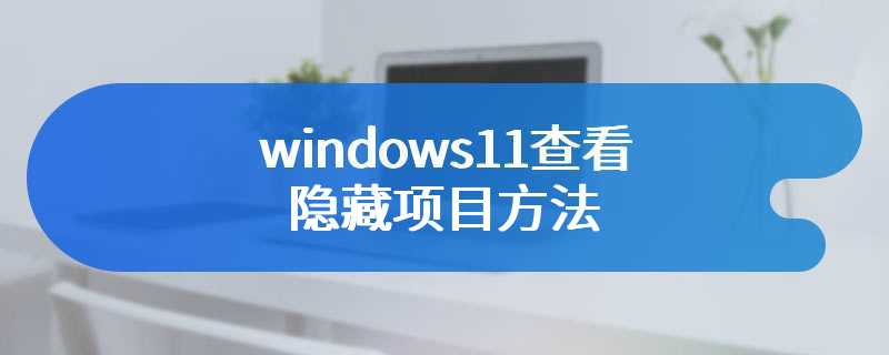 windows11查看隐藏项目方法