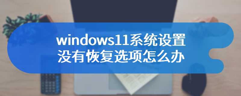 windows11系统设置没有恢复选项怎么办