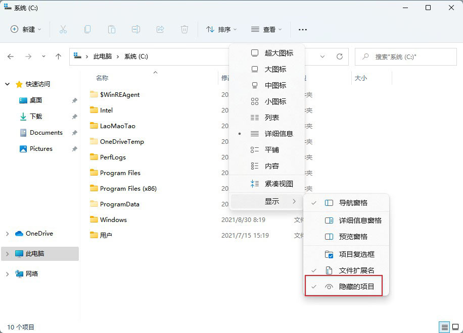 windows11查看隐藏项目方法(2)