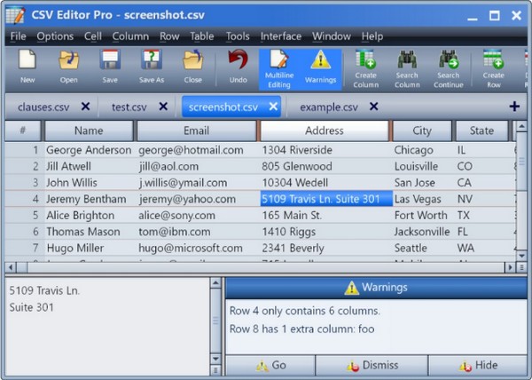CSV Editor Pro(CSV文件处理软件)