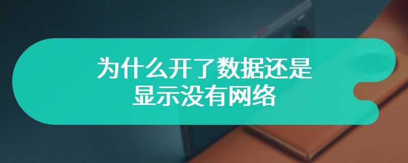 为什么开了数据还是显示没有网络