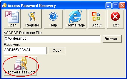 Access Password Recovery(密码恢复软件)