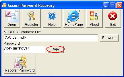 Access Password Recovery(密码恢复软件)