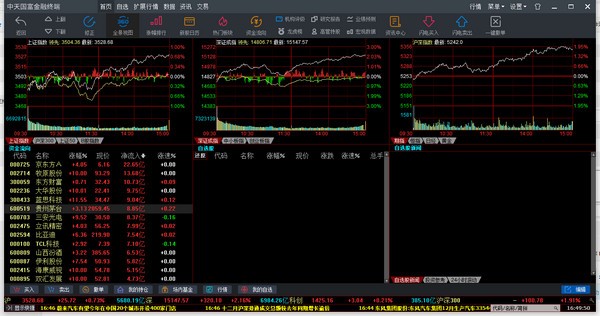 中天国富证券网上交易系统
