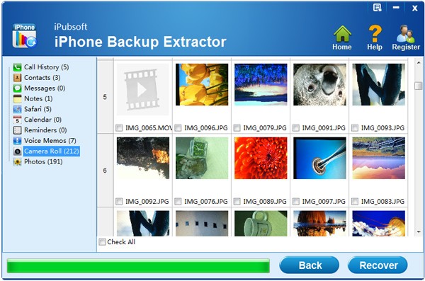 iPubsoft iPhone Backup Extractor(ios数据恢复软件)