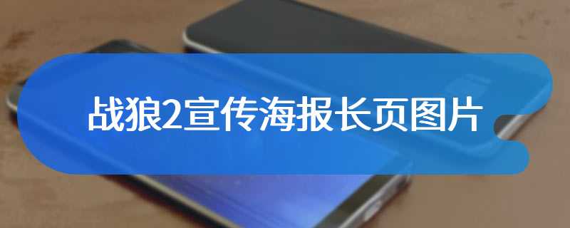 战狼2宣传海报长页图片