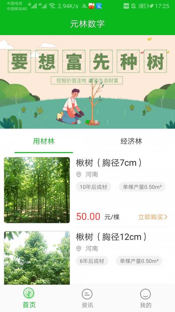 元林数字