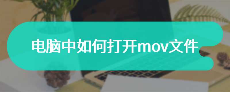 电脑中如何打开mov文件