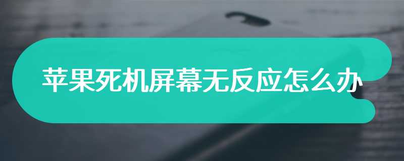 苹果死机屏幕无反应怎么办