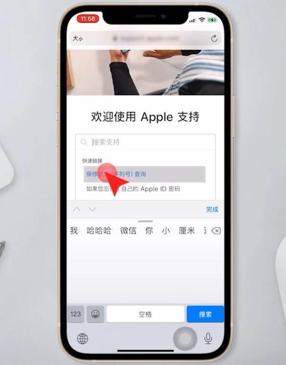 苹果查序列号查询真伪(10)