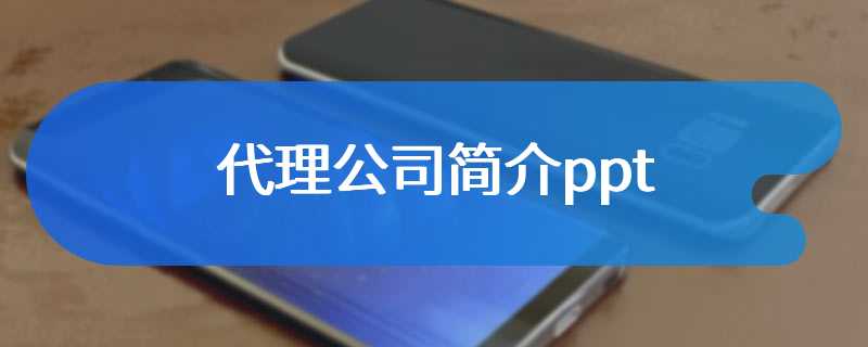 代理公司简介ppt