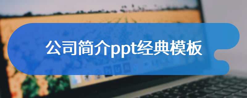 公司简介ppt经典模板