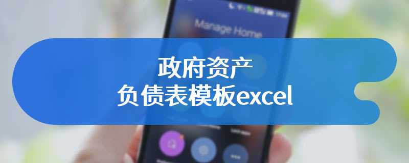 政府资产负债表模板excel