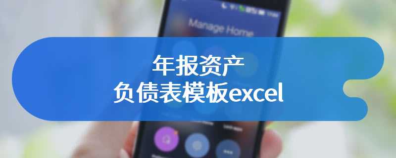 年报资产负债表模板excel