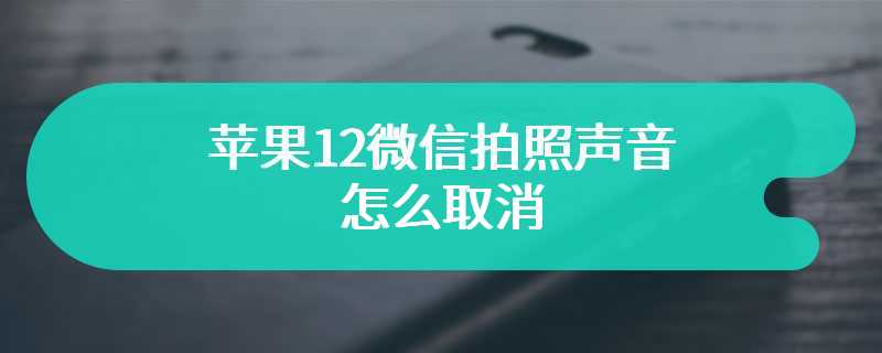 苹果12微信拍照声音怎么取消