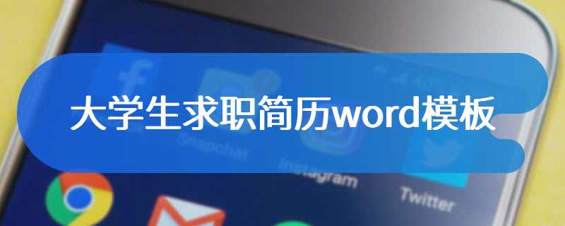 大学生求职简历word模板