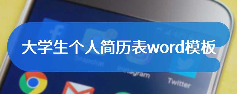 大学生个人简历表word模板