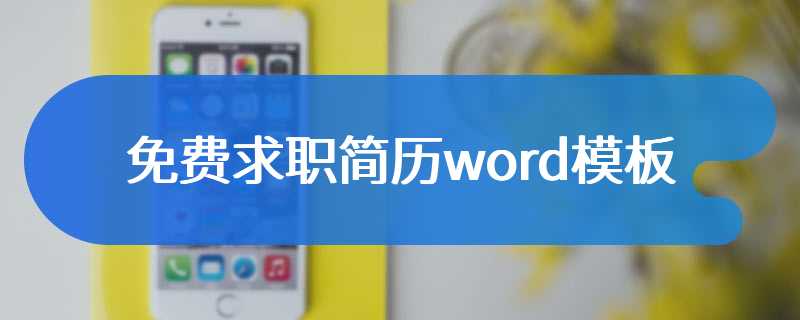 免费求职简历word模板