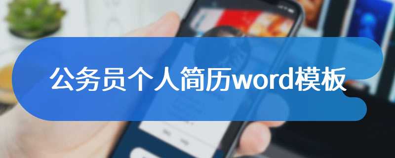 公务员个人简历word模板