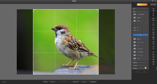 Fotor(照片优化编辑器)