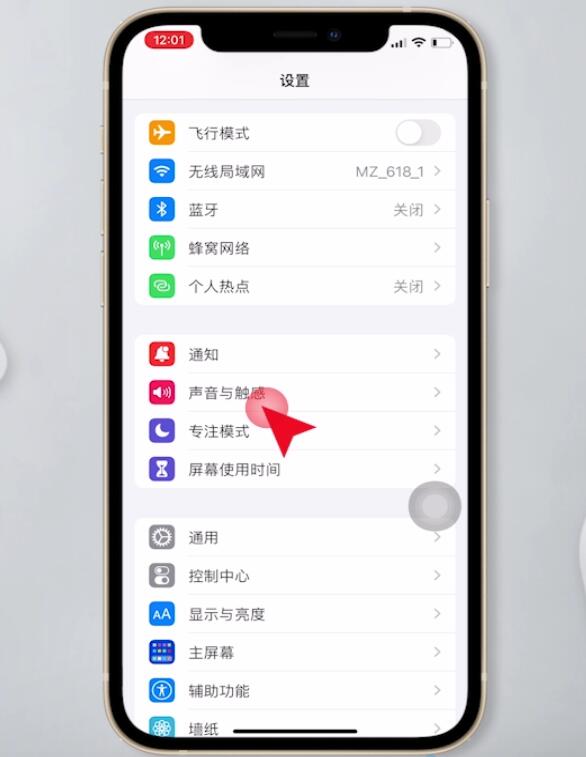苹果手机声音小怎么办(2)