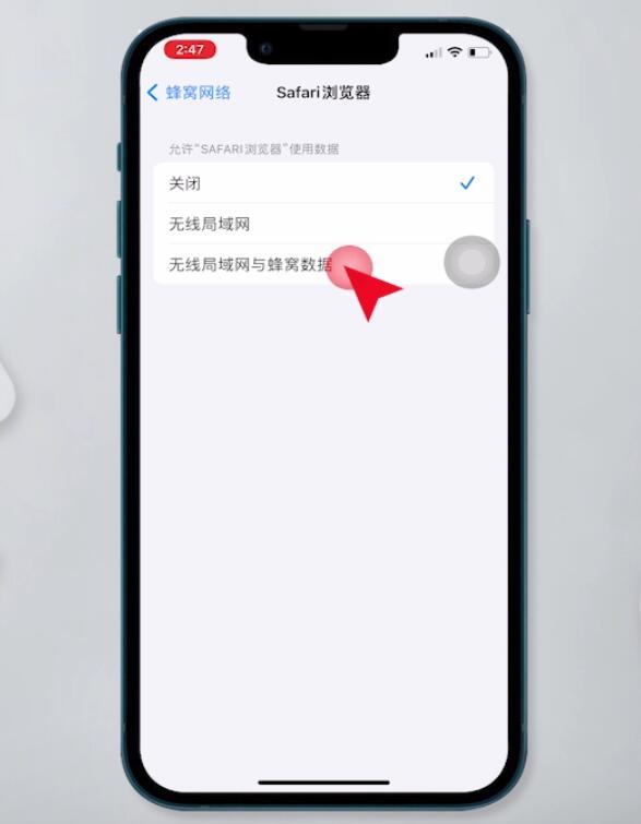 safari尚未接入互联网怎么设置(3)