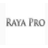 raya pro(ps扩展面板插件)