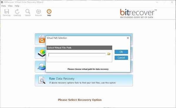 BitRecover Virtual Drive Recovery Wizard(虚拟磁盘数据恢复工具)