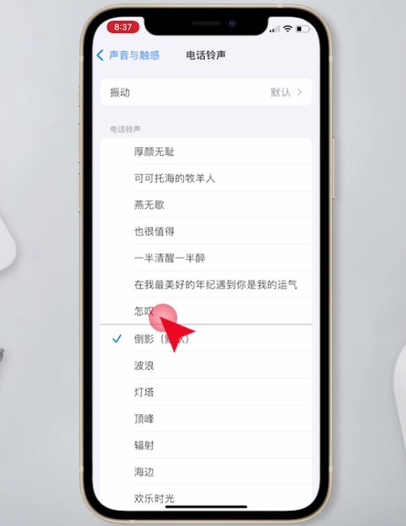 苹果手机怎么设置来电铃声自定义(14)