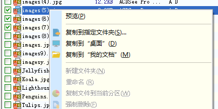 diskgenius分区文件怎么恢复(5)