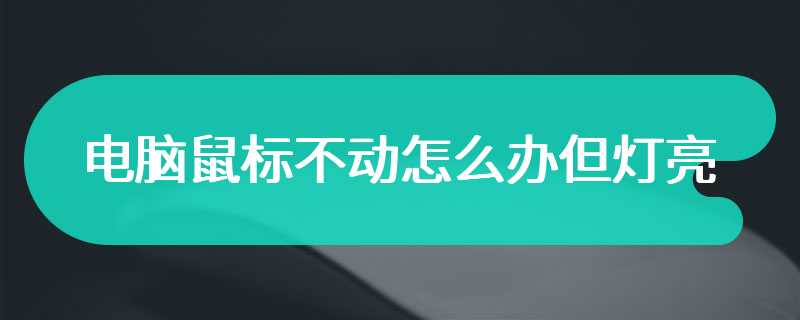 电脑鼠标不动怎么办但灯亮