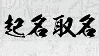 手机起名软件排行榜