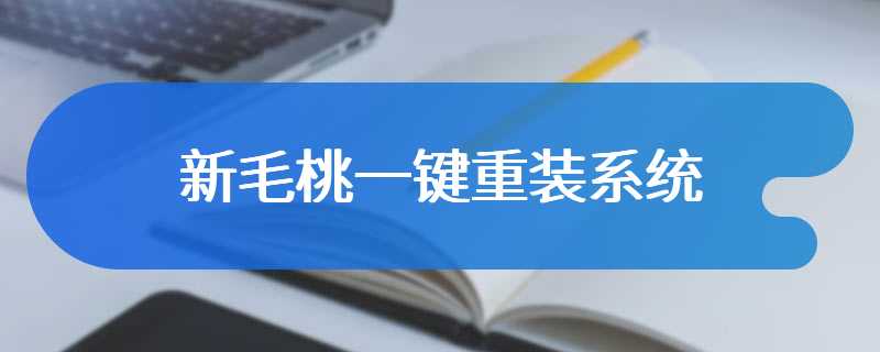 新毛桃一键重装系统