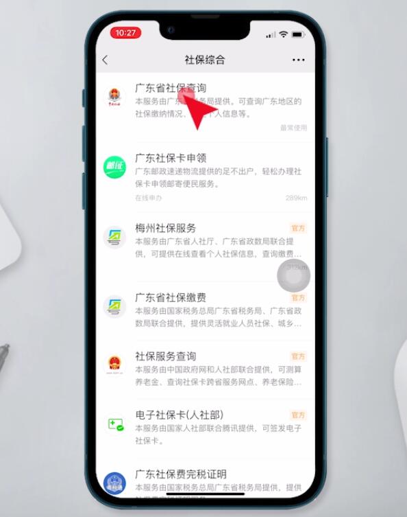 如何查询社保缴纳情况(5)