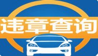 车辆违章查询软件下载