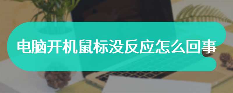 电脑开机鼠标没反应怎么回事