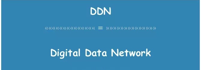 DDN网是一种什么网
